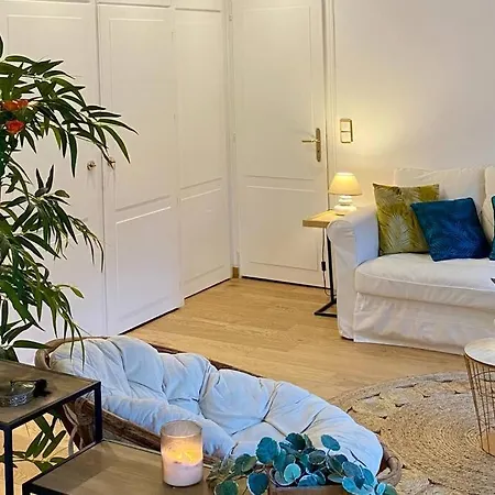 Le Roseau - En Plein Coeur Historique Apartment Annecy