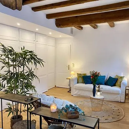 Le Roseau - En Plein Coeur Historique Apartment *