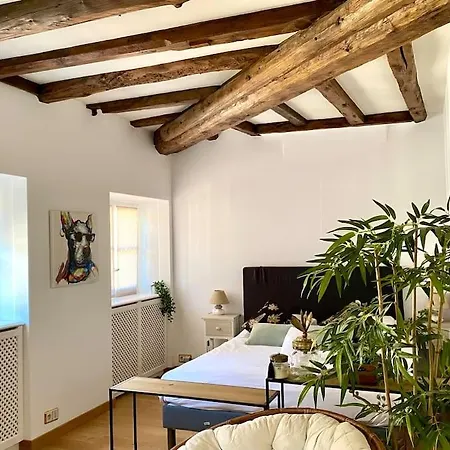 Apartment Le Roseau - En Plein Coeur Historique Annecy
