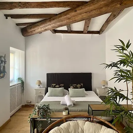Le Roseau - En Plein Coeur Historique Apartment Annecy